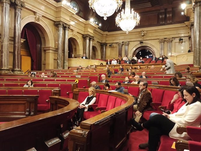 Pleno del Parlament de 13 de febrero de 2020
