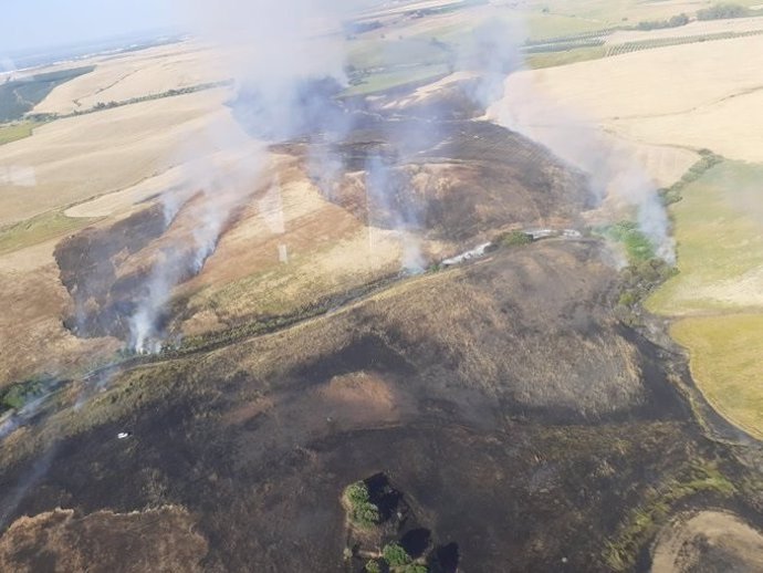 Incendio forestal en Palma del Río (Córdoba)