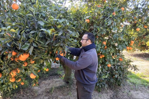 EpAgro - Agricultura